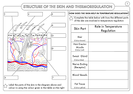 Huge Gcse Biology Worksheet Pack By Beckystoke Teaching Resources Tes Biology Worksheet Biology Resources Biology