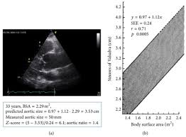 A Parasternal Long Axis View Of The Aortic Root And O Open I