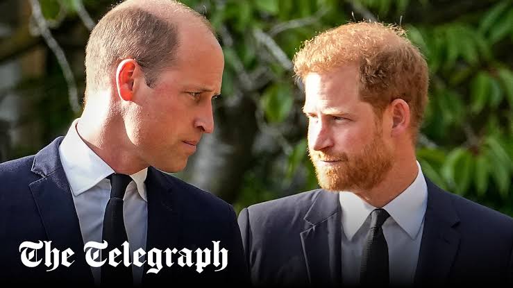 Prince William and Harry's reconciliation is just for mourning, not for life