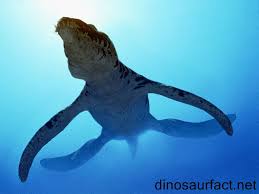 Liopleurodon Dinosaur Walking With Dinosaurs Prehistoric Creatures Prehistoric Animals