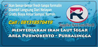 Kabupatèn banyumas) adalah kabupaten di provinsi jawa tengah. Supplier Ikan Laut Plat R Posts Facebook