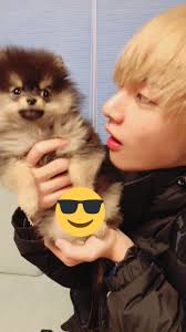 Yeontan And His Dad Tae Hayvanlar Kopek Kpop