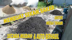 Dapat memperbaiki tingkat keasaman tanah. Membuat Sekam Bakar Untuk Media Tanam Secara Mudah Dan Auto Berhasil Youtube