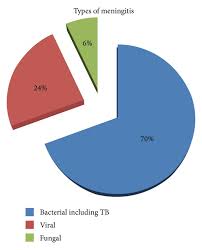 Pie Chart Showing Percentages Of Etiological Organisms