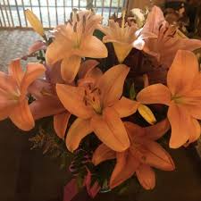 Order flower delivery to tulsa, ok. Ladybug S Flowers Gifts Florists 6606 E Admiral Pl Tulsa Ok Phone Number Yelp