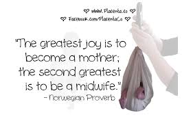 Visit people's homes to check on mother and baby. Pin By Kristi Alton On Words Of Wisdom Student Midwife Midwifery Student Midwifery Quotes