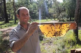 Inne pliki do pobrania z tego chomika. Natural Beekeeping With Kenyan Top Bar Hives Bega District News Bega Nsw