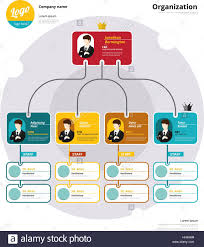 Organizational Chart Infographic Business Flowchart Stock