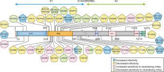 Scientists have linked the l452r variant to several large outbreaks in santa clara county—the most the l452r variant, which is different from the highly transmissible b.1.1.7 first detected in the u.k. Profiling And Characterization Of Sars Cov 2 Mutants Infectivity And Antigenicity Signal Transduction And Targeted Therapy