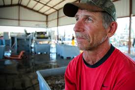 Six Months Later, an Oil Disaster Spreads Across the Gulf