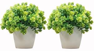 A small bungalow gets a big update. Artificial Potted Plant Decoratinglives Set Of 2 Mini Cute Artificial Plants Bonsai Potted Shrubs For Home Office Decor Wholesale Trader From Delhi