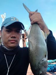 Looking for something new to cast at yellowtail kingfish? The Oceans Legacy  Tidalus sinking minnow is now starting to account for some xos kings!  Weighs in at 73g and casts like a