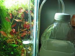 Pin By Shawn Jennings On Fish Tank Aquarium Diy Aquarium Aquarium Maintenance