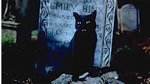 From cool male black cat names, like jett, to cute female black cat names, like luna, this giant list of the best black cat names will help you settle on the perfect monicker for your new feline. Meow Mix The 100 Most Iconic Cats In Movies Paste