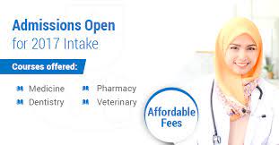 The universal dental adhesive scored high marks. Medic Pro Link