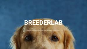 We did not find results for: Breeder Koi Farm Jember Breen Asnicar Italia Pages Directory