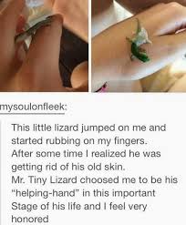 verse 1 i feel it in my fingers i feel it in my toes love is all around me and so the feeling grows it's written on the wind it's everywhere i go, oh yes, it is so if you really love me come on and let it show, oh. Dank Memes Tiny Lizard S Helping Hand Via R Wholesomememes