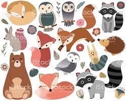 Vector Set Of Cute Woodland Animals And Design Elements Ilustracion De Zorro Ilustraciones De Animales Disenos De Unas