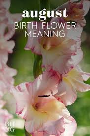 Birth Flower For Each Month Meanings Find Out Your Birth Month Flower And The Meaning Behind It In 2020 Birth Month Flowers Month Flowers August Birth Flower