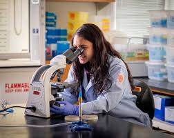 Western Carolina University