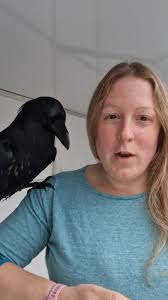 Decoding Bird Body Language: How to Understand What Birds are Saying