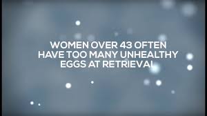 We did not find results for: Improve Egg Quality Treatment For Improving Egg Quality For Ivf Chr