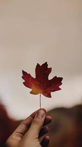 Check spelling or type a new query. Download Wallpaper Lawa Iphone Hd Cikimm Com