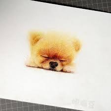 I Draw Furry Adorable Animals To Cure Unhappiness Bored Panda