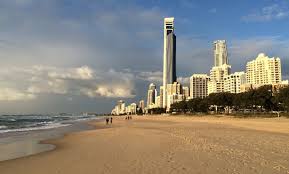 Pagesbusinesseslocal servicebusiness serviceleading building & pest inspections umina beach. What To Do If The House You Want To Buy Has Termite Damage Gold Coast Pest Services