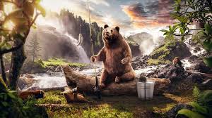 Look at our collection of incredible bear pictures. Wallpaper 4k Bear In Jungle Along Side River 4k Wallpaper