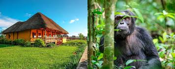 Valspar's 2021 colors of the year feature an fresh and familiar color that's easy to love. Best Uganda Accommodation Lodges Camps Hotels In 2021 2022 Africanmecca Safaris