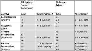 Wann ändern sich die zähne ihres hundes? Malteser Hobbyzucht Www Malteser Hobbyzucht De Hunde Malteserhunde Hundezucht Welpen Malteserzuechter Malteser Zuchter Malteser Hundezucht Vdh Dmc