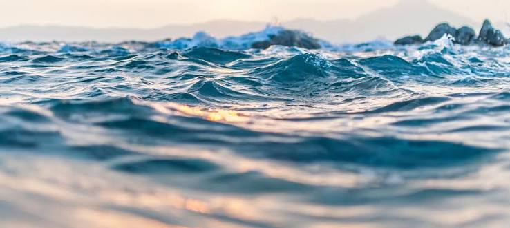 PPIC Water Policy Center - Public Policy Institute of California