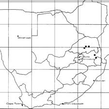 Image result for Geigeria burkei