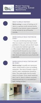 Mold Testing Faq Home Repairs Improvement Diy Mold Remover