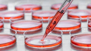 The choice of culture medium might affect the physiological relevance of findings from cell culture experiments due to the differences in the nutrient composition and concentrations. Endotoxins Innovative Solutions For Cell Culture Studies Life Science Industry Research And News