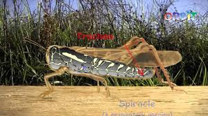 You don't remember the words. 11 Science Resources Ideas Science Resources Activity Sheets Science