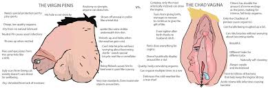 The Virgin Penis Vs. the Chad Vagina : rvirginvschad