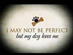 Pin On Man S Best Friend