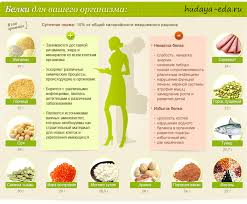 V Kakih Produktah Soderzhitsya Belok Prochee