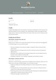 Select your work carefully when creating your portfolio. 19 Free Web Designer Resume Examples Guide Pdf 2020