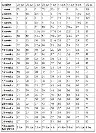 weight chart chihuahua weight chart and growth chart pet it