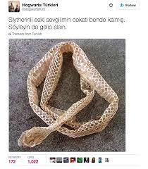 Harry Potter Hayranligini Mizahla Harmanlayan Hogwarts Turkleri Hesabindan 15 Paylasim Hogwarts Harry Potter Cast Mizah