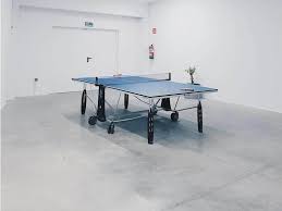The 13 Best Ping Pong Tables In 2020 Pingpongruler