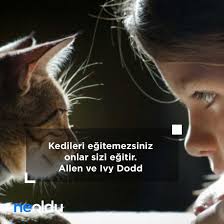 Hayvan Sevgisi Ile Ilgili Sozler Hayvanlarla Ilgili En Guzel Sozler