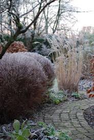 Table Of Contents The Lovely Bones Gardenista Winter Garden Scandinavian Garden Winter Vegetables Gardening