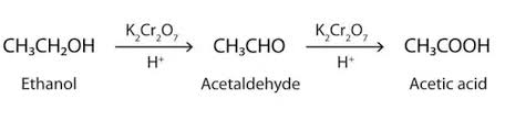 Image result for REACTION OF ETHANOL AND ETHANOIC ACID