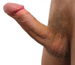 Png Template Photos Pornsexiezpix Web Porn