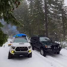 Image result for Lc Grey 1998 Fleet