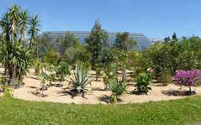Maybe you would like to learn more about one of these? Freigelande Des Okologisch Botanischen Gartens Bayreuth Erwartet Die Besucher Mit Artenvielfalt Und Mediterranem Flair Bayreuther Tagblatt